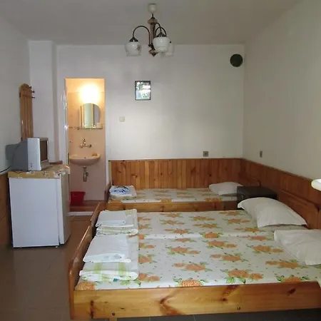 Central Guesthouse נסבר