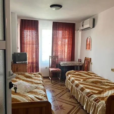 Central Guesthouse بيت ضيافة نيسيبار