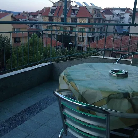 بيت ضيافة Central Guesthouse نيسيبار