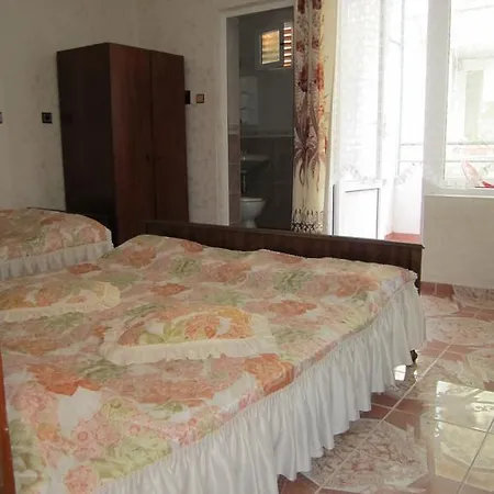 Central Guesthouse * نيسيبار