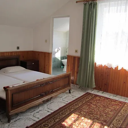 Central Guesthouse بيت ضيافة نيسيبار